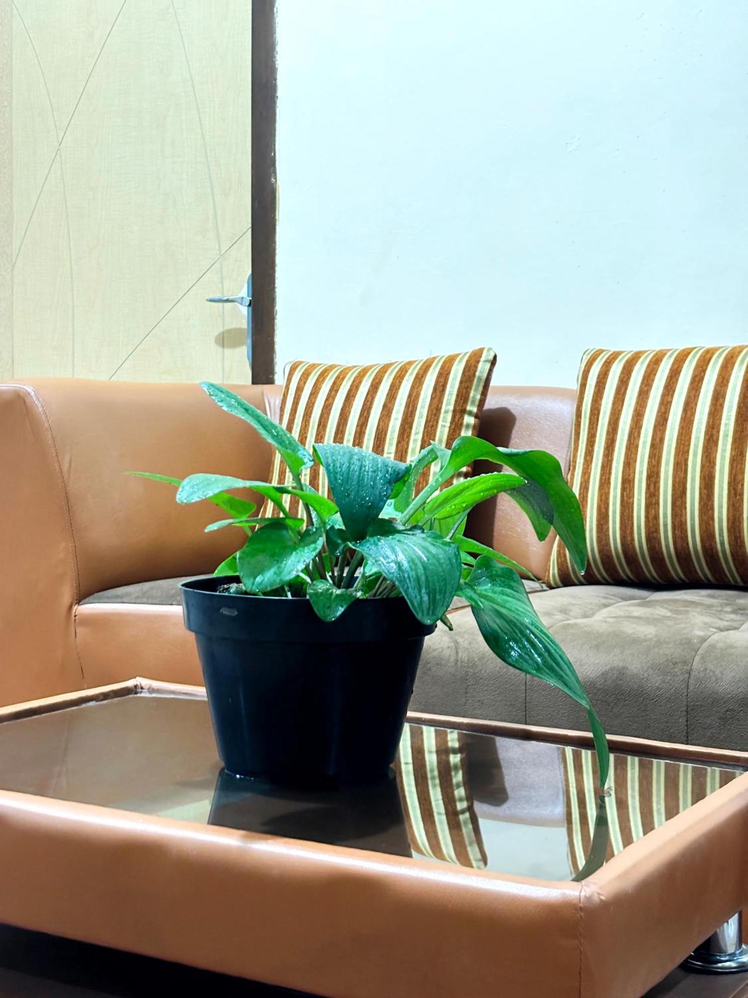 Jogja Day Inn Yogyakarta Ngoại thất bức ảnh